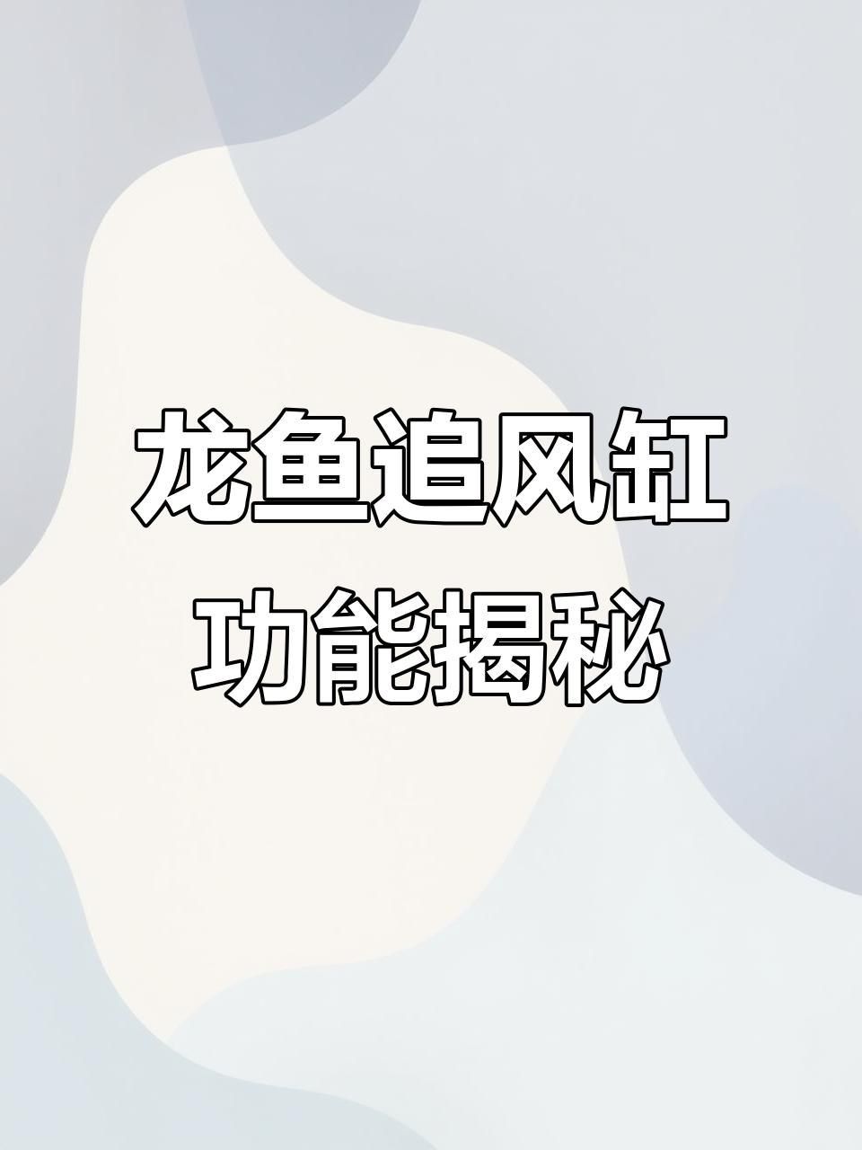 龍魚頂級魚缸推薦