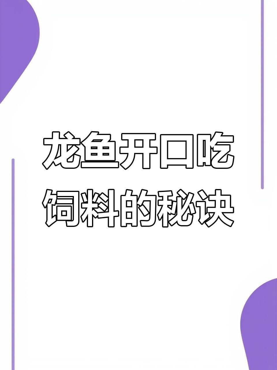 龍魚改口期間喂食頻率應(yīng)該如何調(diào)整？