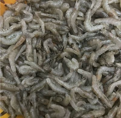 龍魚怎么喂凍的蝦（龍魚凍蝦與活蝦的區(qū)別,）