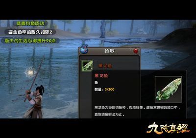 龍魚關刀下掛什么魚鉤（龍魚關刀下掛什么魚鉤龍魚關刀下掛什么魚鉤推薦）