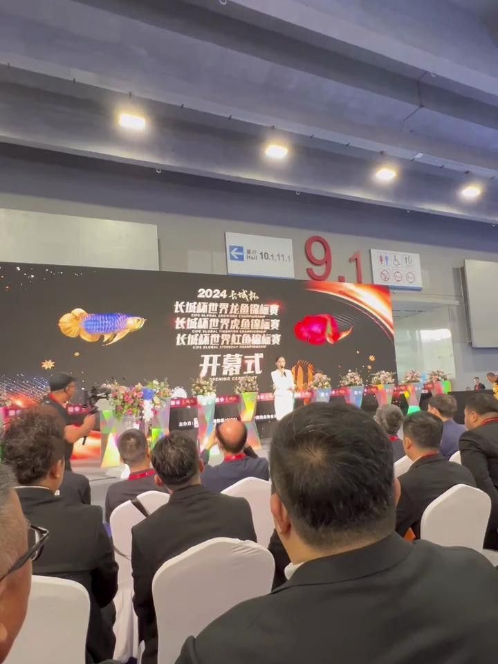 西安魚缸定制祥龍魚場地址在哪
