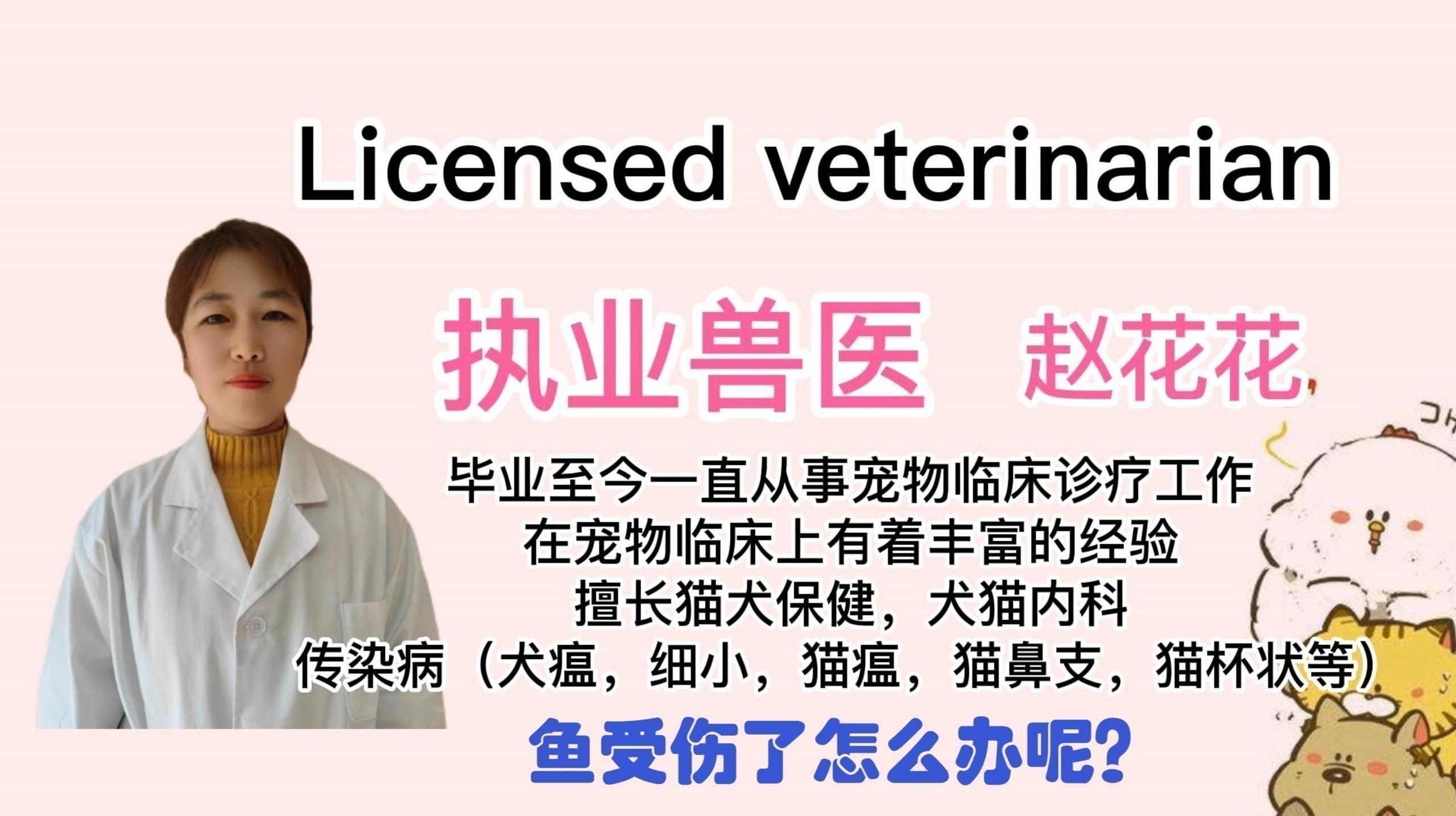如何預(yù)防魚傷口感染？