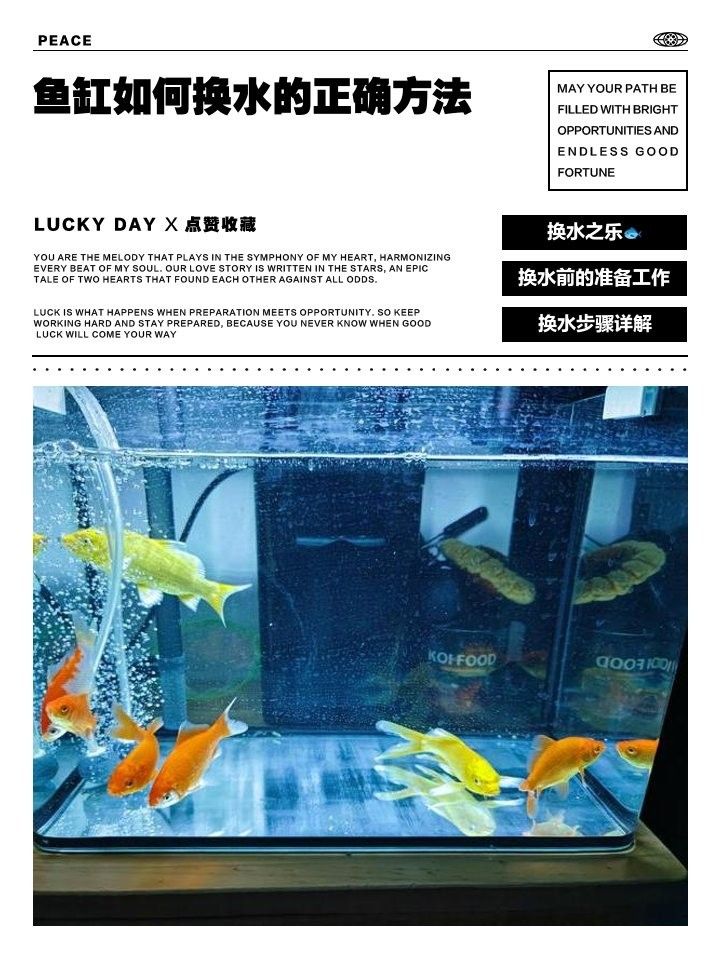 龍頭魚(yú)擺件換水時(shí)需要斷電嗎？