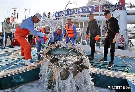 龍魚養(yǎng)殖場賺錢嗎現(xiàn)在 龍魚養(yǎng)殖場賺錢嗎現(xiàn)在 龍魚百科 第1張