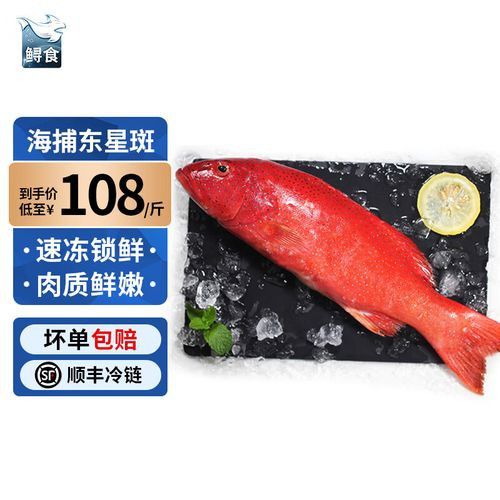 石斑魚和龍躉的價格差異大嗎？