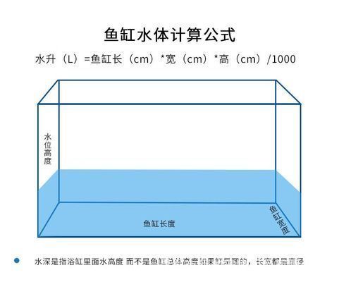 養龍魚的水位多高合適：養龍魚的水位高度一般是多少？