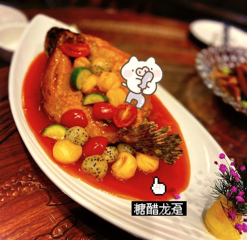 龍躉魚屬于什么檔次