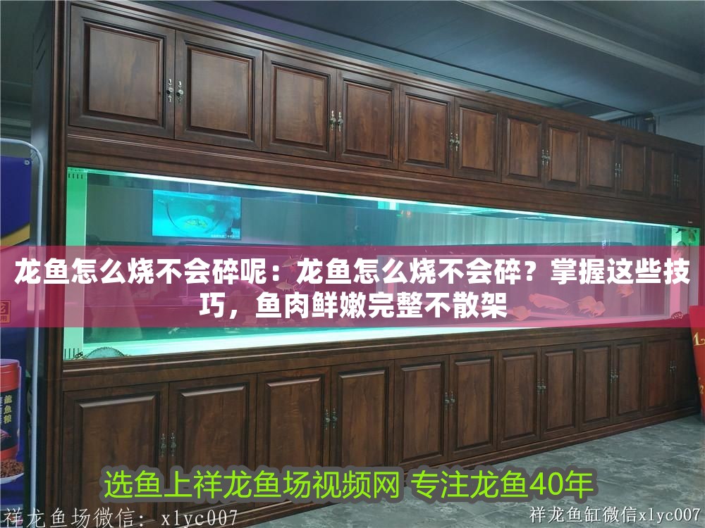 龍魚怎么燒不會碎呢：龍魚怎么燒不會碎？掌握這些技巧，魚肉鮮嫩完整不散架
