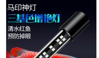 龍魚(yú)增艷燈和發(fā)色燈，龍魚(yú)增艷燈與發(fā)色燈的區(qū)別
