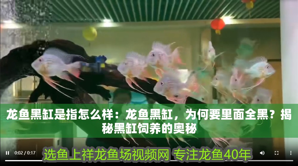 龍魚黑缸是指怎么樣：龍魚黑缸，為何要里面全黑？揭秘黑缸飼養(yǎng)的奧秘