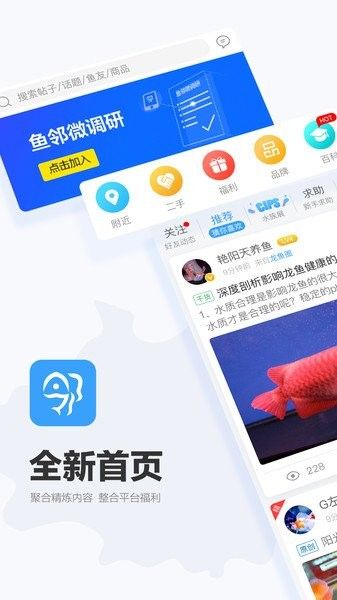 龍巔魚鄰和龍魚天下的用戶評價如何？