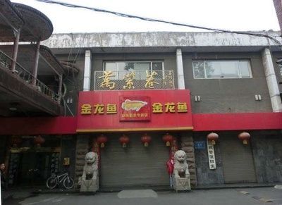 金龍魚口號霸氣押韻：標題：金龍魚口號的霸氣押韻