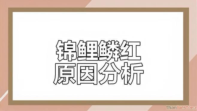 如何判斷錦鯉魚鱗充血是否嚴重？