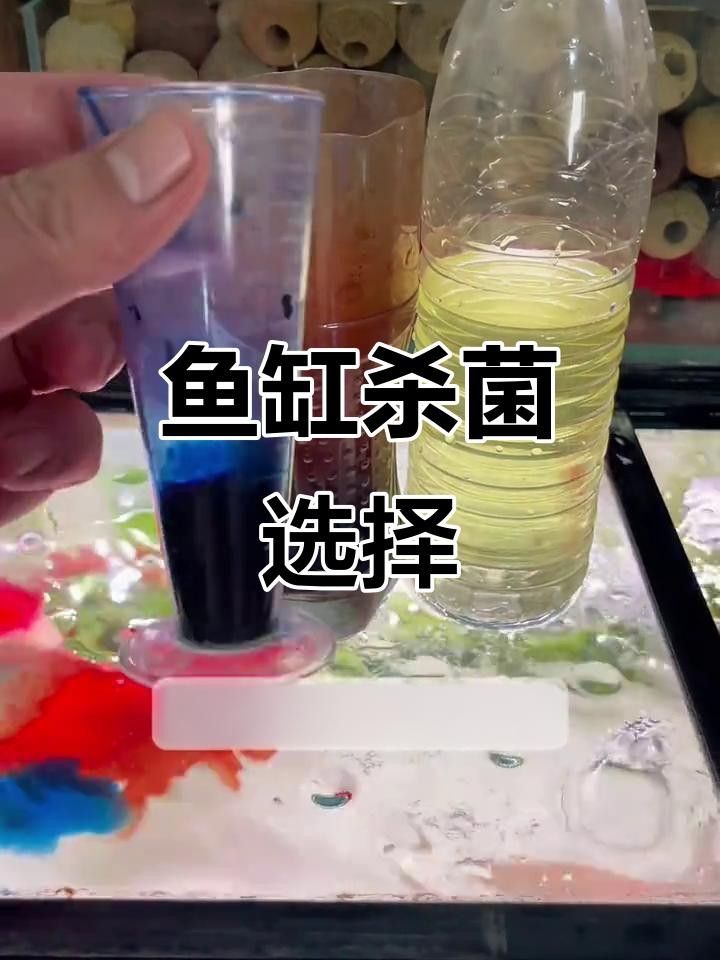 龍魚過世后多久處理魚缸比較合適？