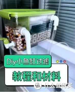 龍魚過世后多久處理魚缸比較合適？