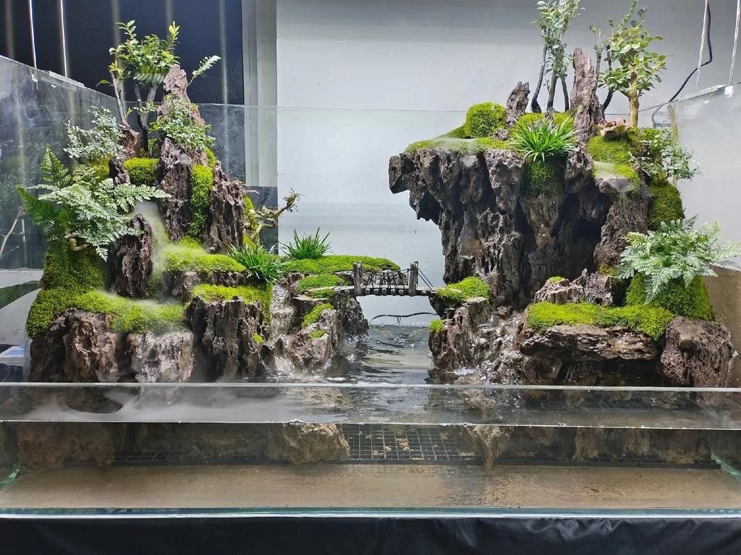 雷龍魚南美缸造景