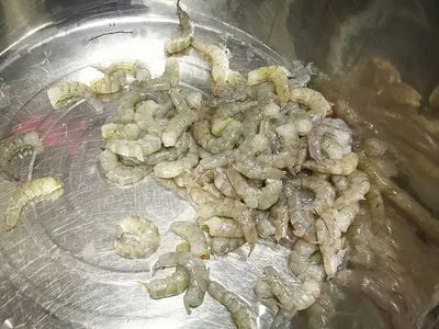 龍魚喂蝦仁消毒方法（喂養龍魚蝦仁時，除了選擇合適的蝦類和正確的處理方法外）