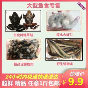 龍魚喂蝦仁消毒方法（喂養龍魚蝦仁時，除了選擇合適的蝦類和正確的處理方法外）