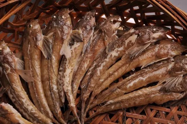 潮汕金龍魚是黃花魚嗎