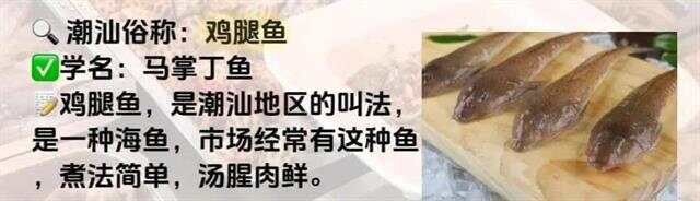 潮汕金龍魚是黃花魚嗎