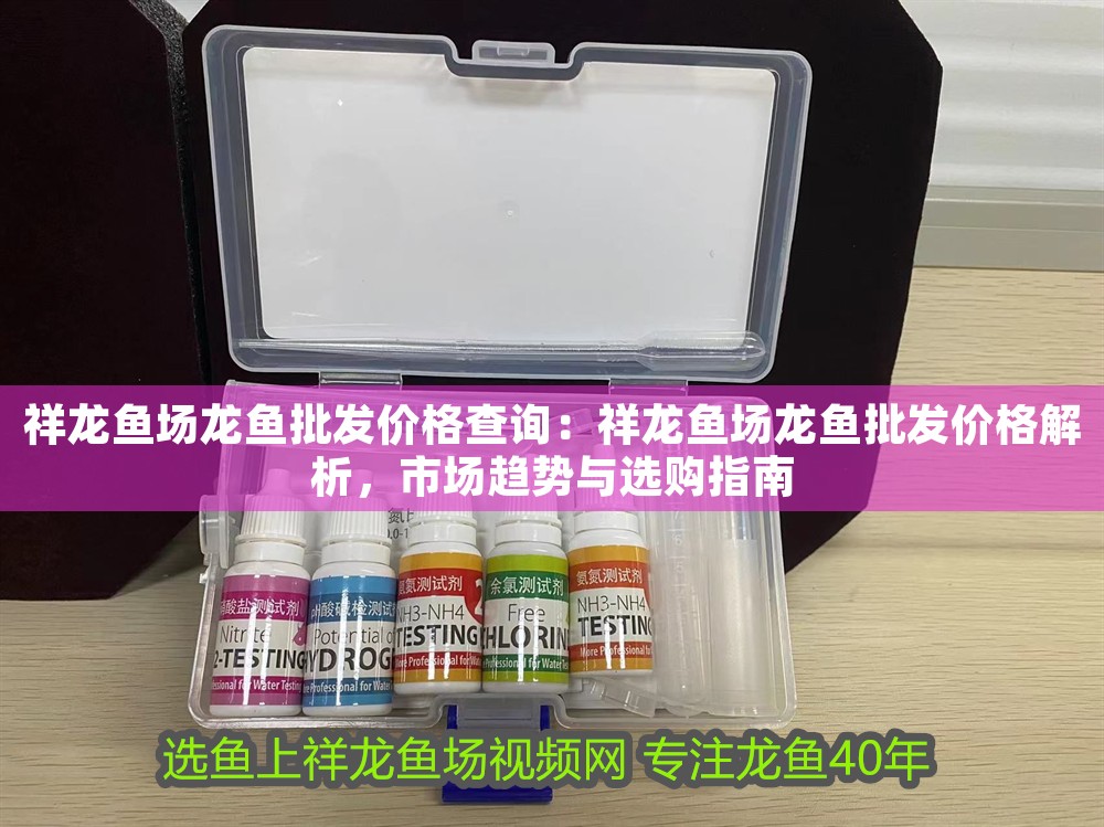 祥龍魚場龍魚批發價格查詢：祥龍魚場龍魚批發價格解析，市場趨勢與選購指南