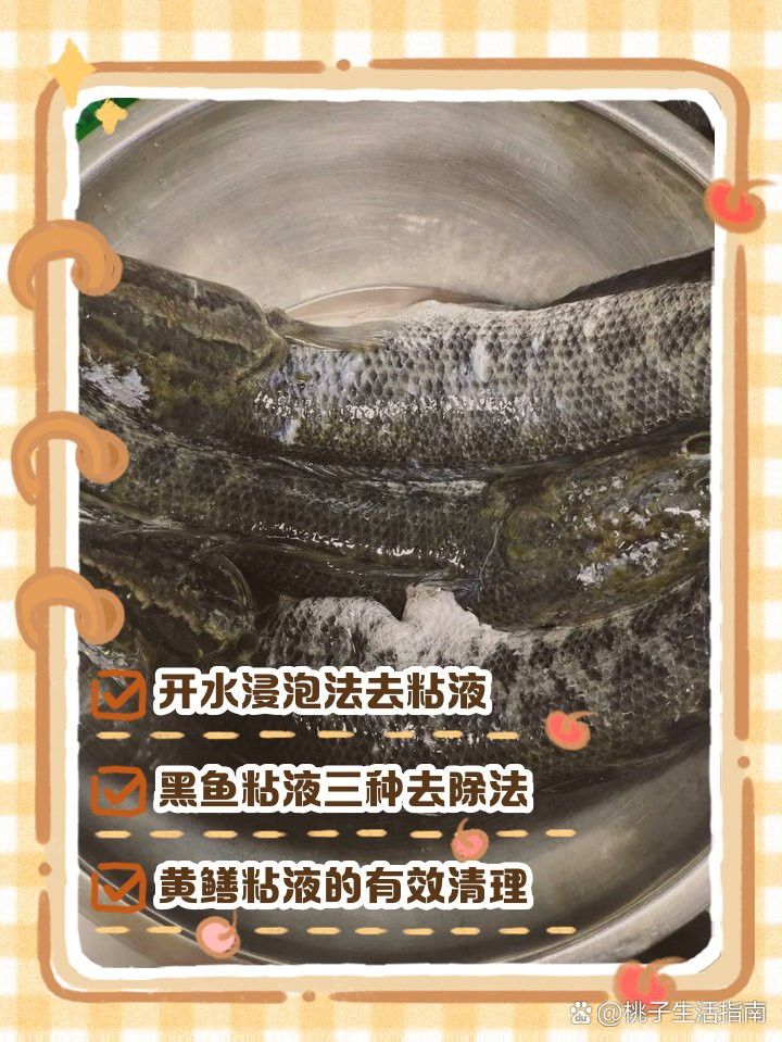 如何安全地為龍魚去粘液？