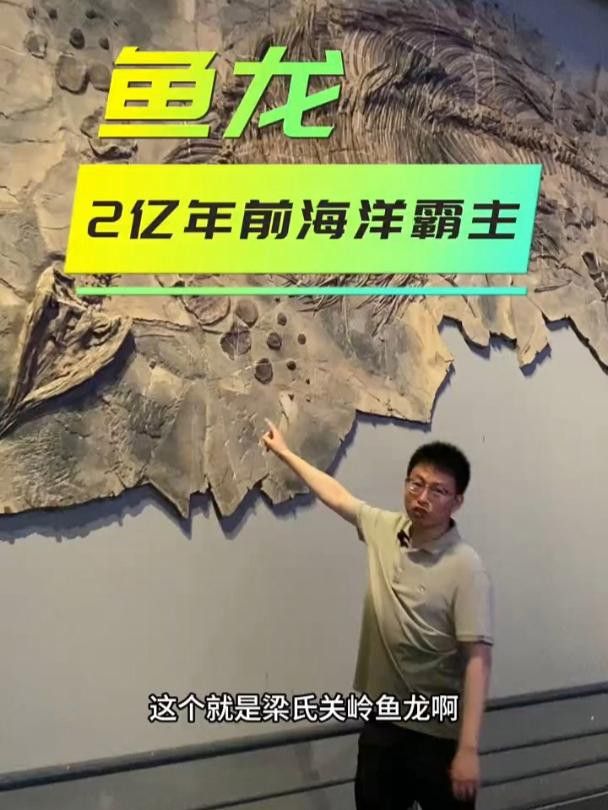 有哪些著名的魚龍化石發現？