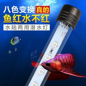 龍魚缸的LED紅燈和白燈對(duì)水草的影響（led紅燈在水族箱中常用于促進(jìn)某些魚類的發(fā)色）
