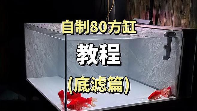 龍魚缸底濾缸設計圖片