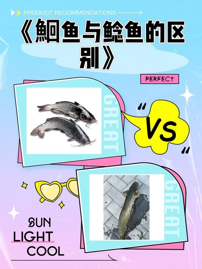黔龍魚(yú)是什么魚(yú)圖片大全