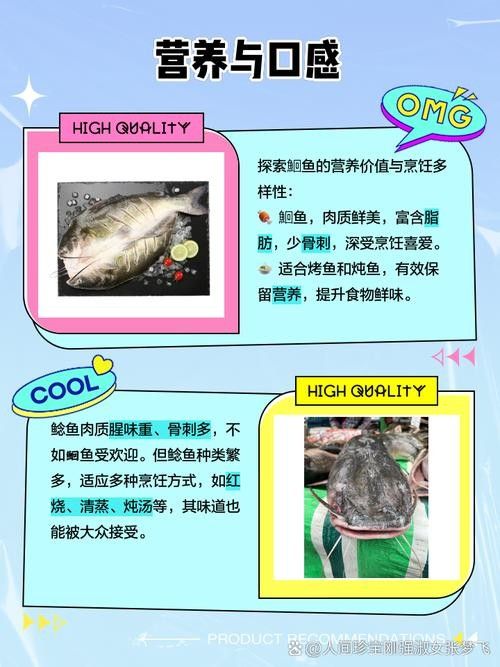 黔龍魚(yú)是什么魚(yú)圖片大全