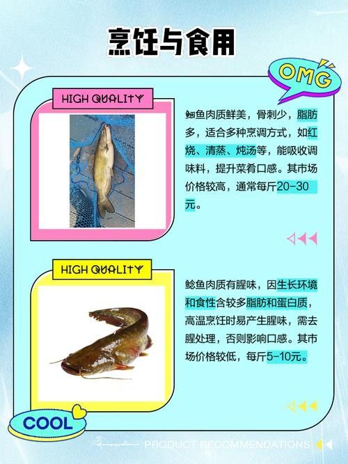 黔龍魚(yú)是什么魚(yú)圖片大全