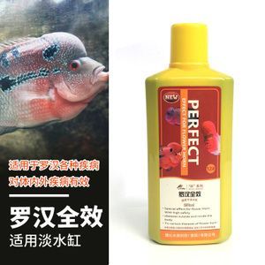 龍魚用什么麻藥消毒好：龍魚手術(shù)中常用的麻藥和消毒劑是一種常用的消毒藥物