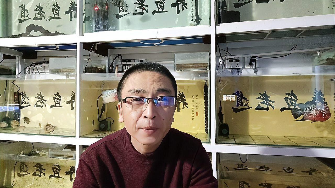 哪些品牌的水泵適合龍魚混養(yǎng)？