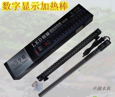 養龍魚一般幾月加加熱棒（養龍魚時，是否需要使用加熱棒）