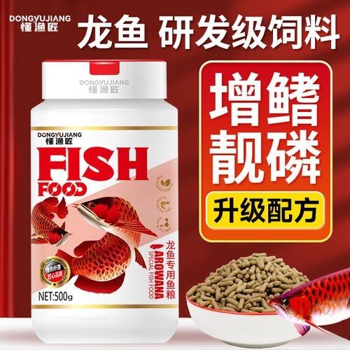 龍魚飼料魚混養(yǎng)可以嗎圖片