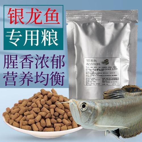 龍魚飼料魚混養(yǎng)可以嗎圖片
