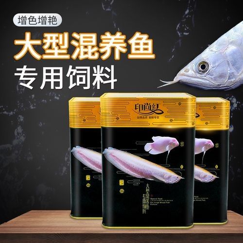龍魚飼料魚混養(yǎng)可以嗎圖片