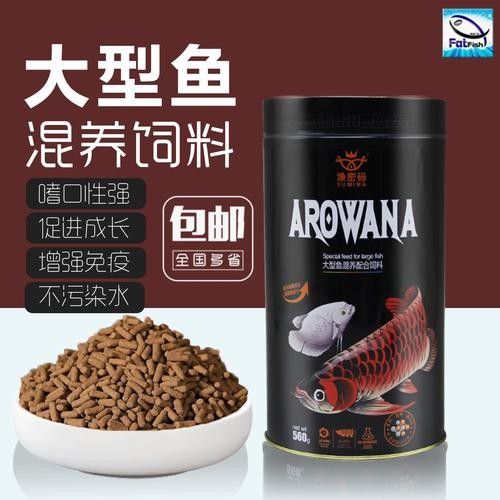 龍魚飼料魚混養(yǎng)可以嗎圖片