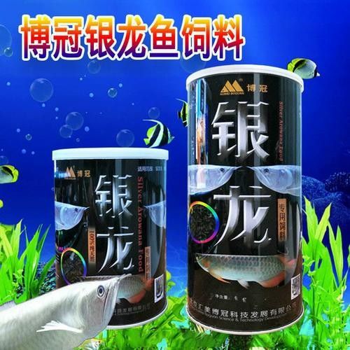 龍魚飼料魚混養(yǎng)可以嗎圖片