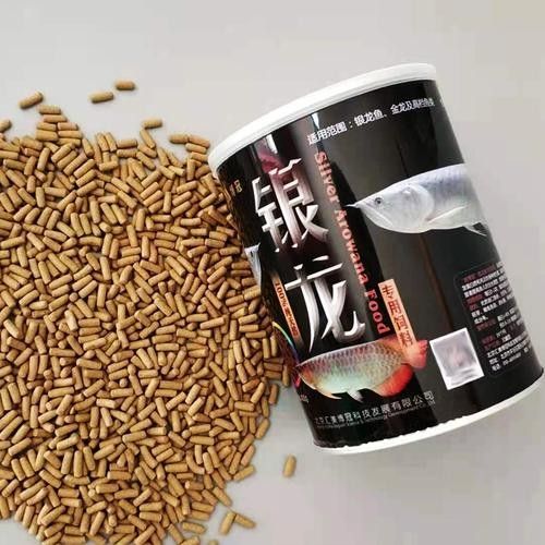 龍魚飼料魚混養(yǎng)可以嗎圖片