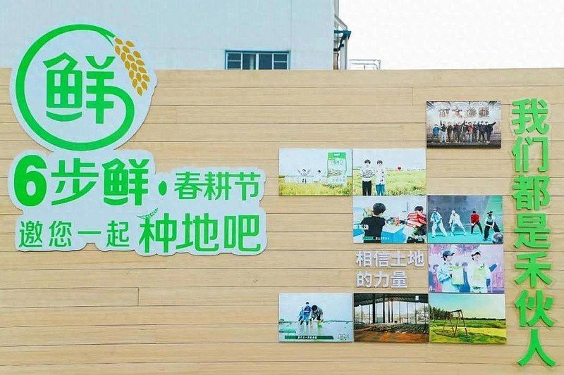 金龍魚智能溯源技術何時全面實施？