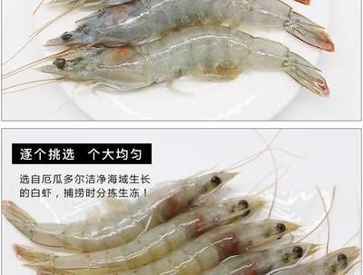 龍魚的厭食下大白片可以嗎：龍魚吃河蝦好還是吃蝦好，