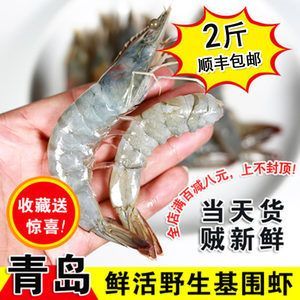 龍魚的厭食下大白片可以嗎：龍魚吃河蝦好還是吃蝦好，