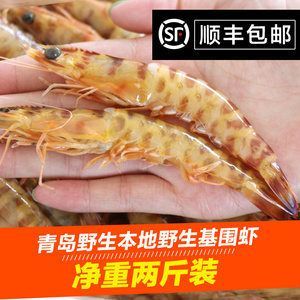 龍魚的厭食下大白片可以嗎：龍魚吃河蝦好還是吃蝦好，