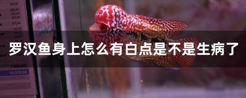 雷龍魚白點病的自我診斷技巧：雷龍魚患有白點病怎么辦