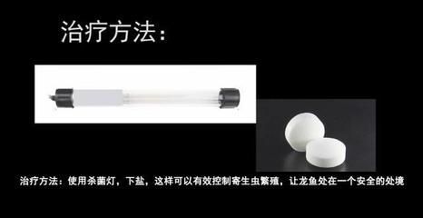 龍魚寄生蟲治療方法：龍魚寄生蟲怎么治療