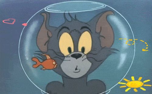 金魚分類品種