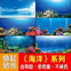 養(yǎng)紅龍魚缸用什么底色和背景顏色好看：養(yǎng)紅龍魚時(shí)，缸底和背景顏色的選擇應(yīng)該以紅色為主
