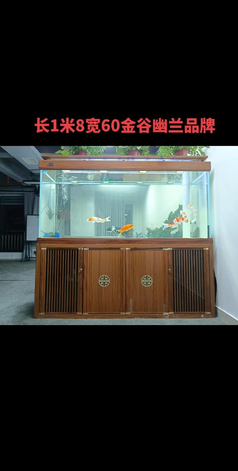 龍魚缸濾材最佳搭配圖片